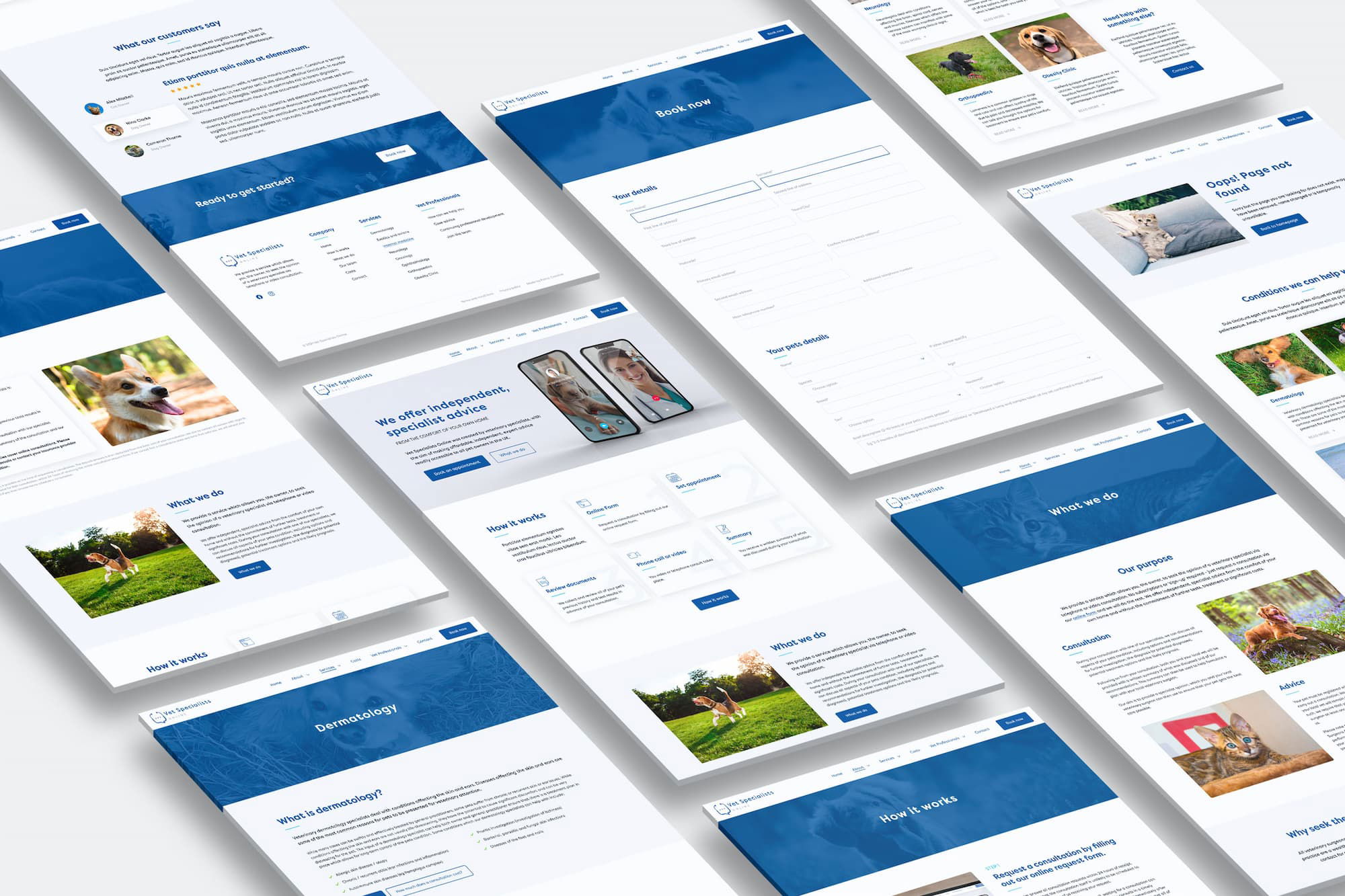 Vet specialists website designs