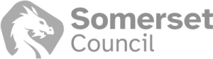Somerset Council logo
