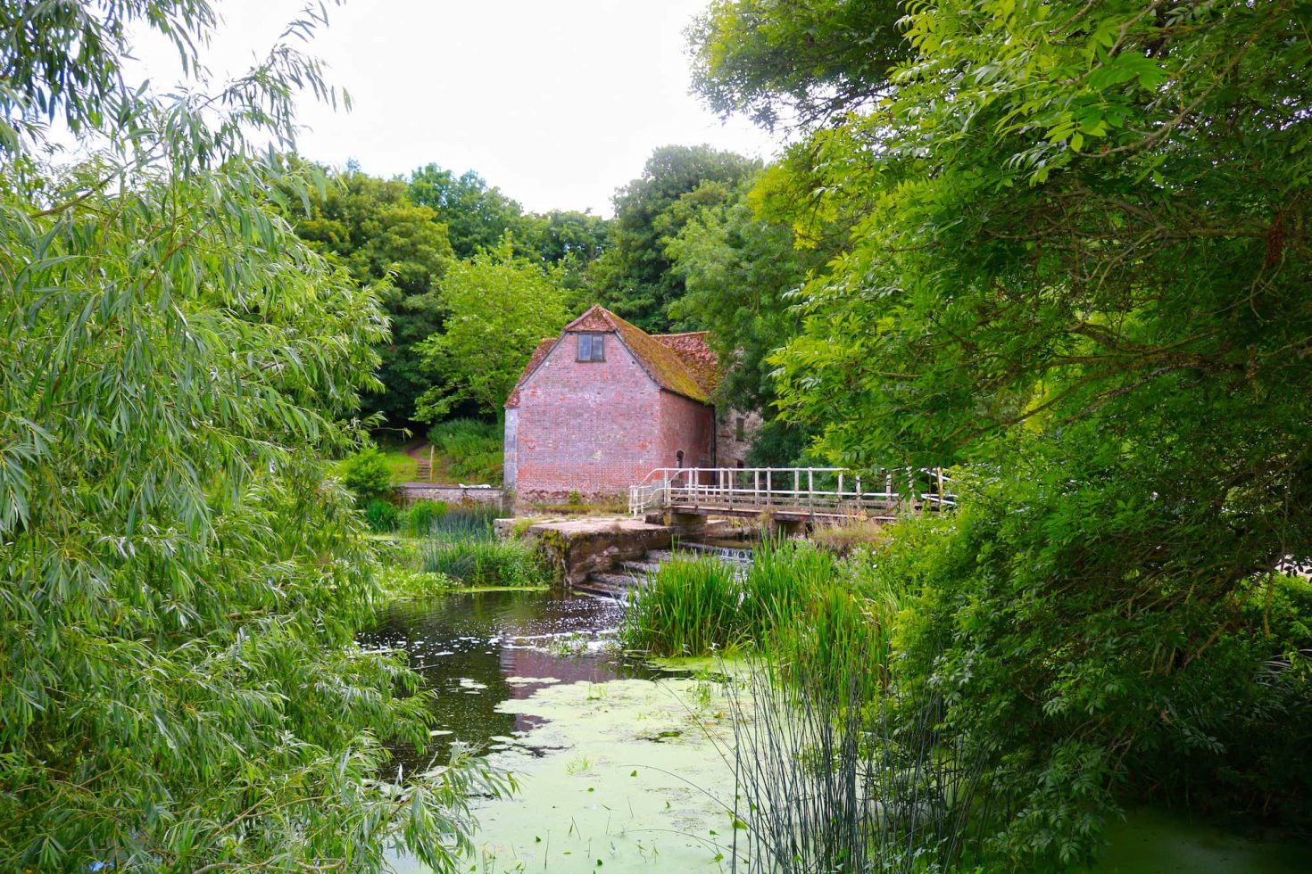 WordPress website for an environmental conservation charity