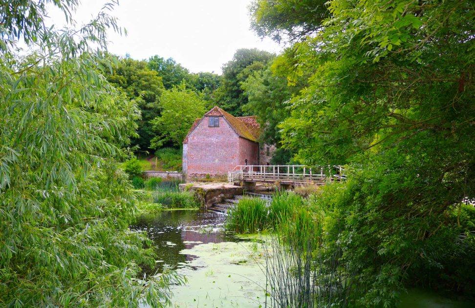 WordPress website for an environmental conservation charity